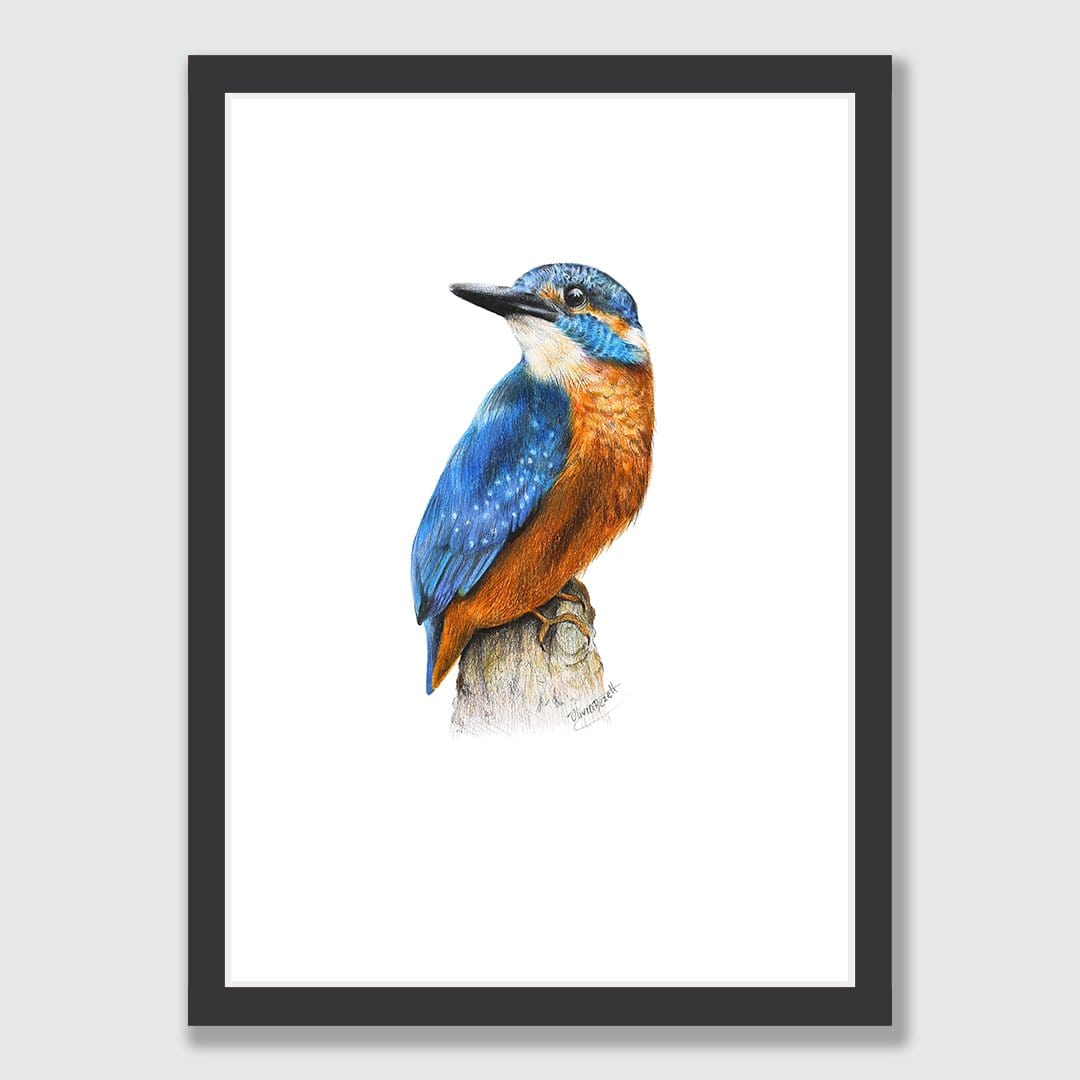 Kingfisher Art Print by Olivia Bezett