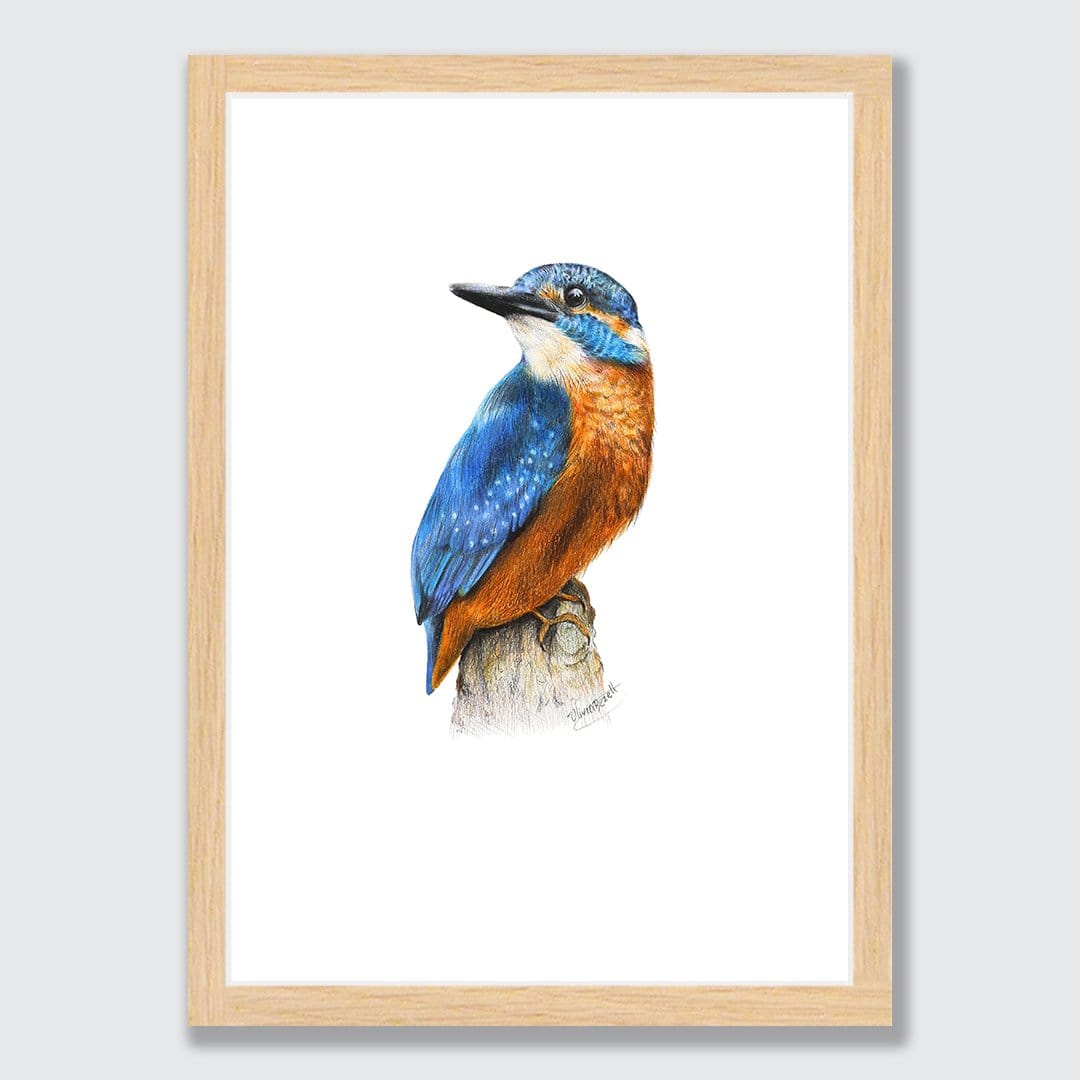Kingfisher Art Print by Olivia Bezett