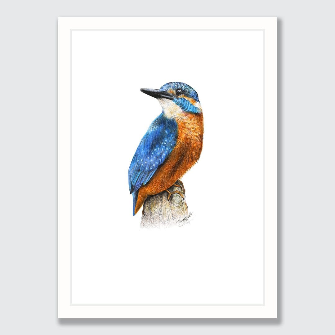 Kingfisher Art Print by Olivia Bezett