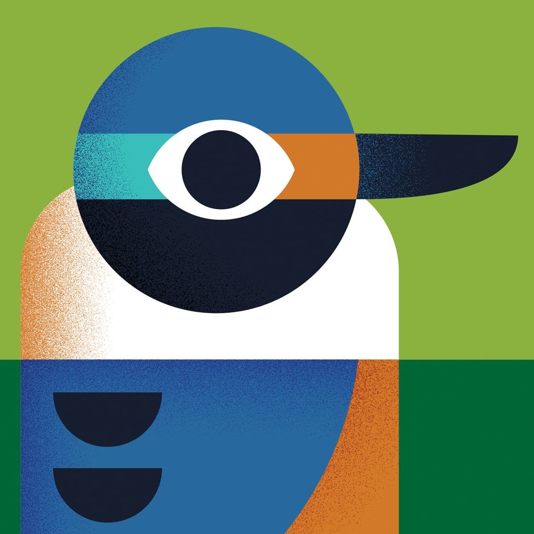 Kingfisher Art Print by Beth Xia