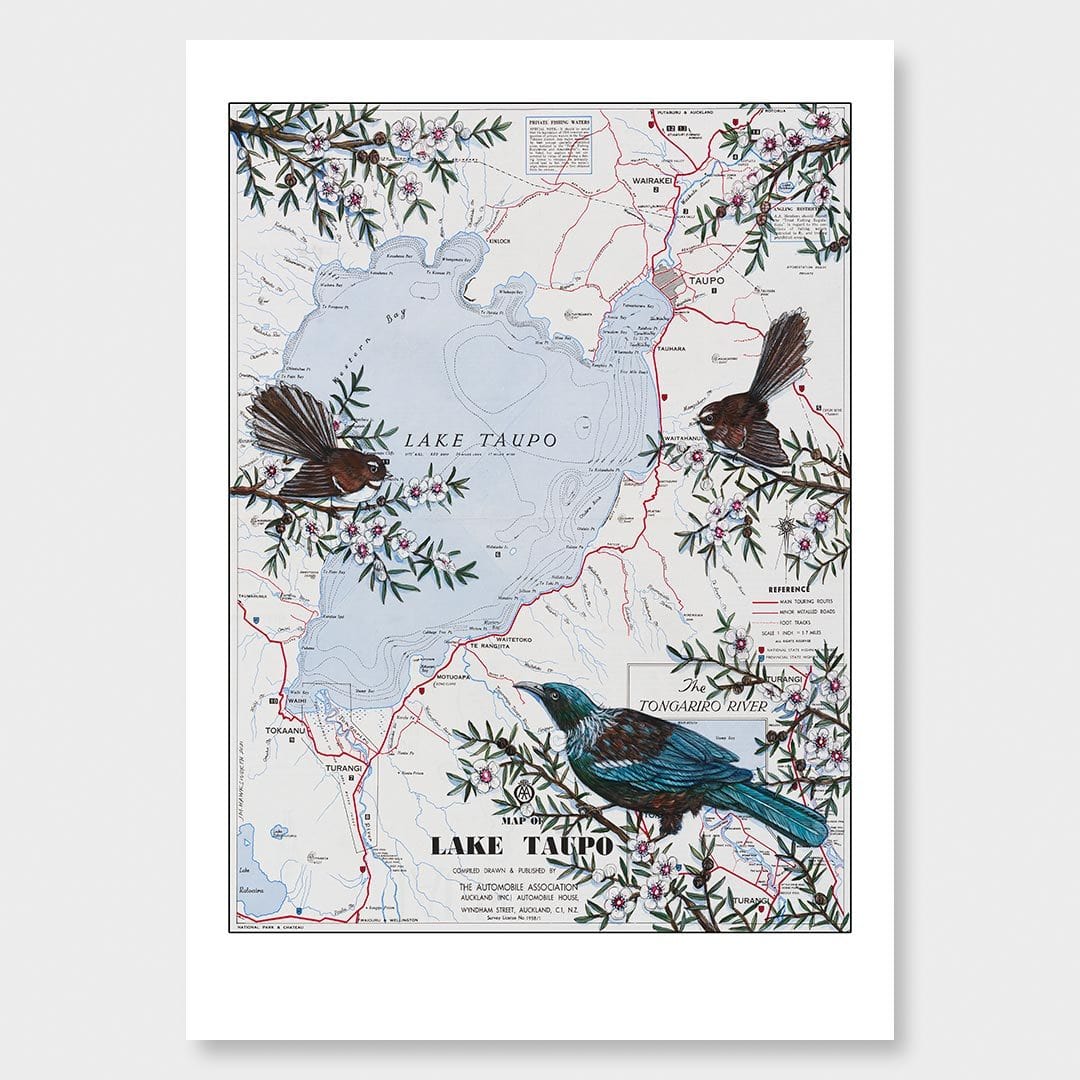Lake Taupō Art Print by Justine Hawksworth
