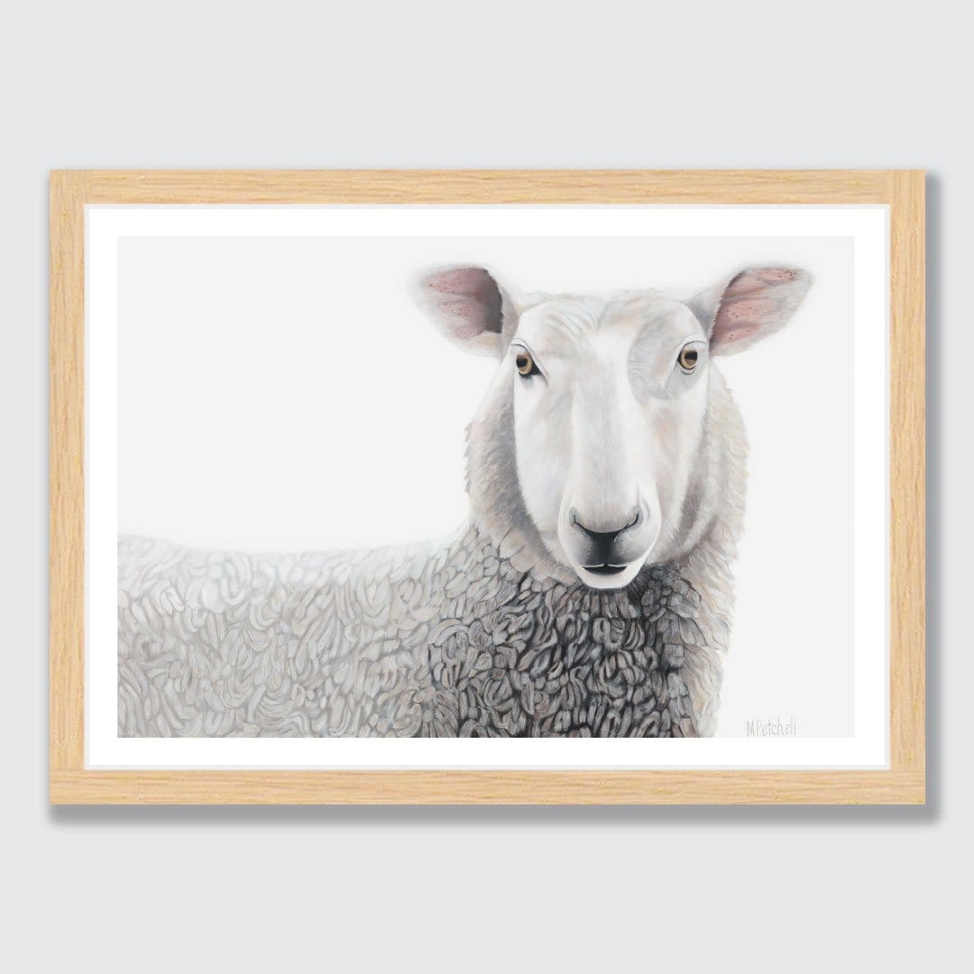 Lester Sheep Art Print by Margaret Petchell