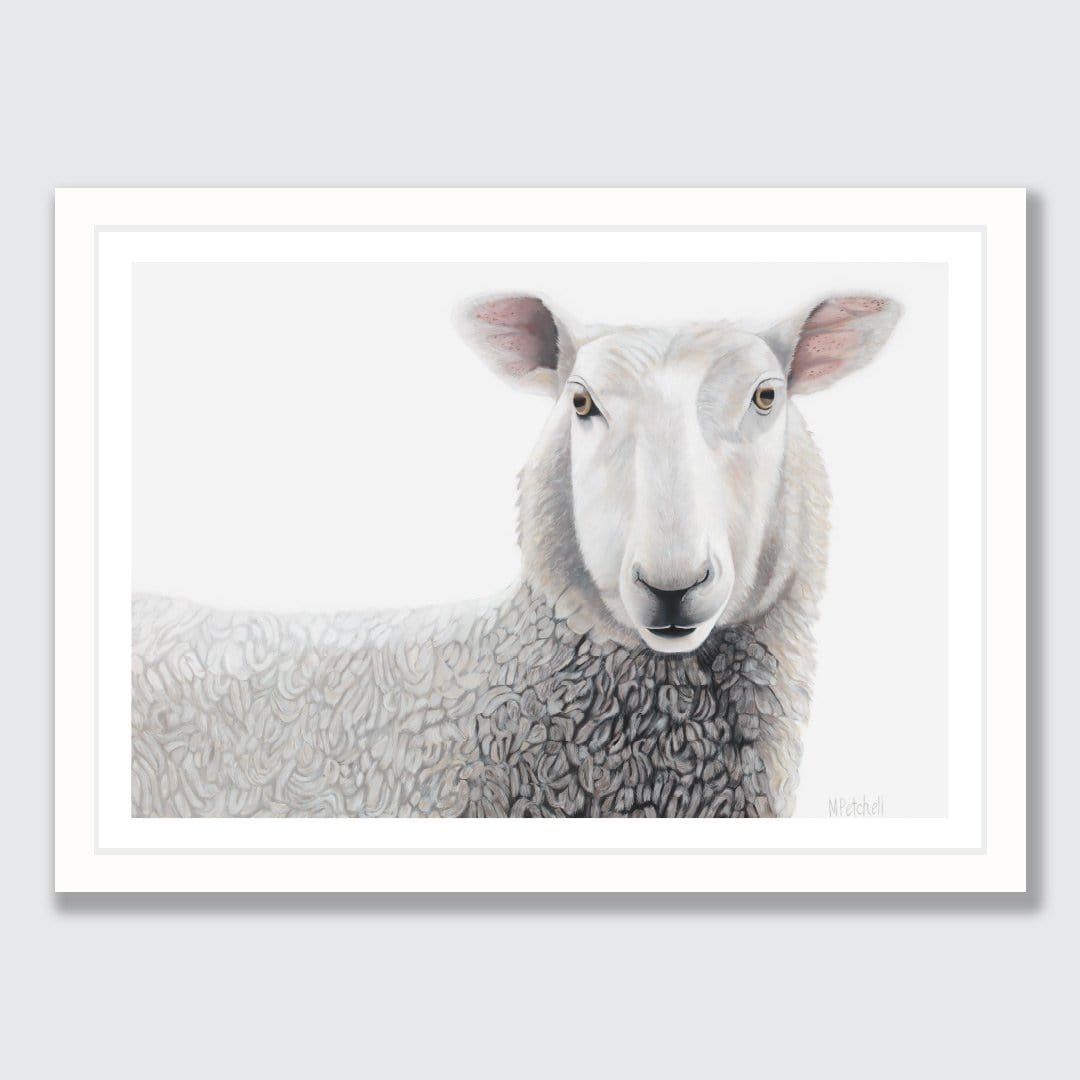 Lester Sheep Art Print by Margaret Petchell