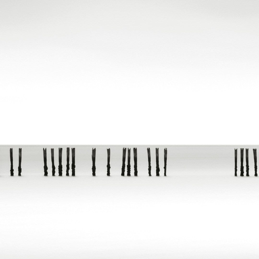 Line Up Photographic Art Print by Jeremy Senior