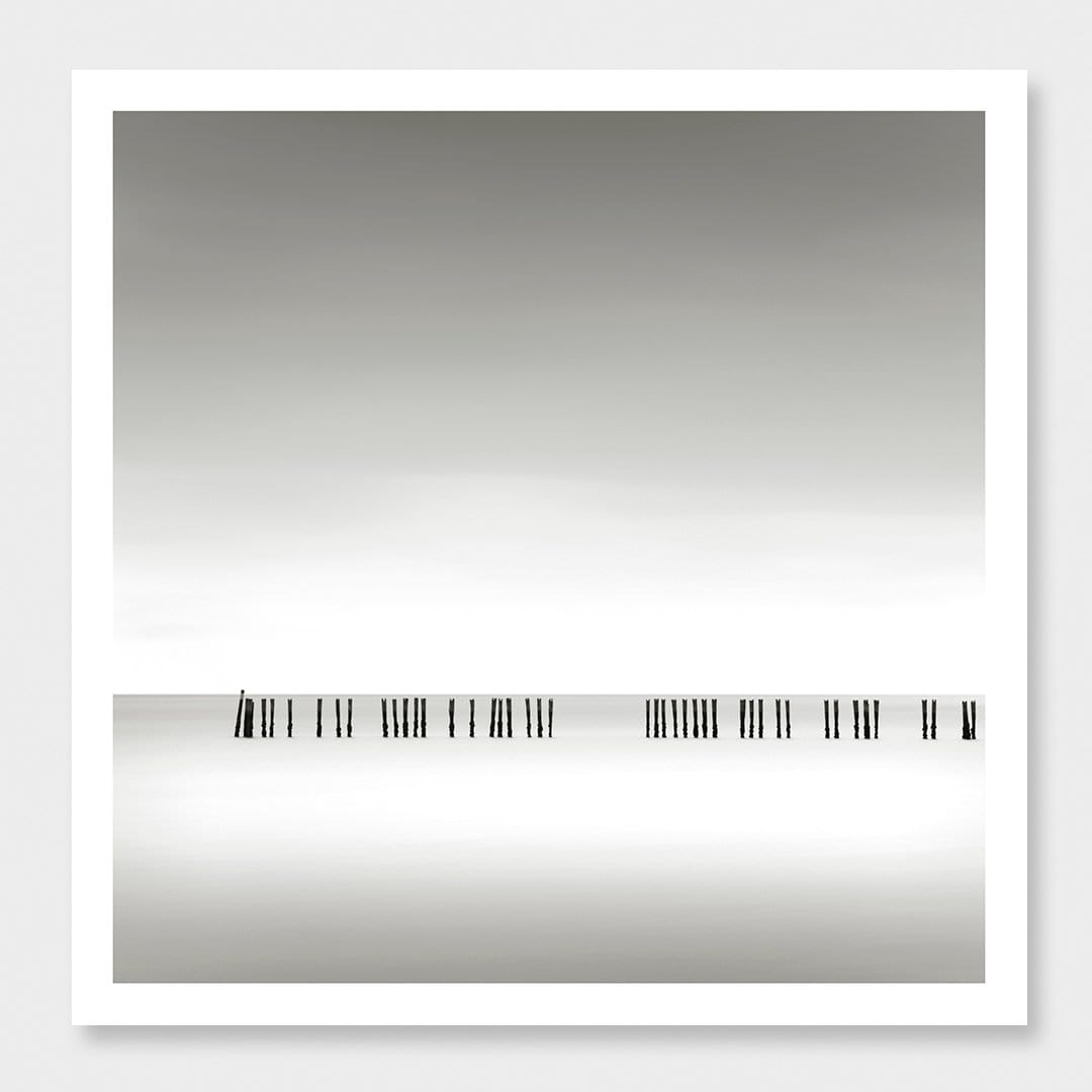 Line Up Photographic Art Print by Jeremy Senior