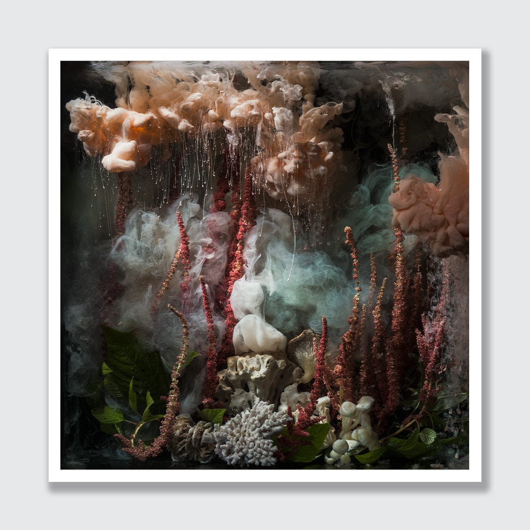 Love Lies &amp; Coral Photographic Print by Georgie Malyon