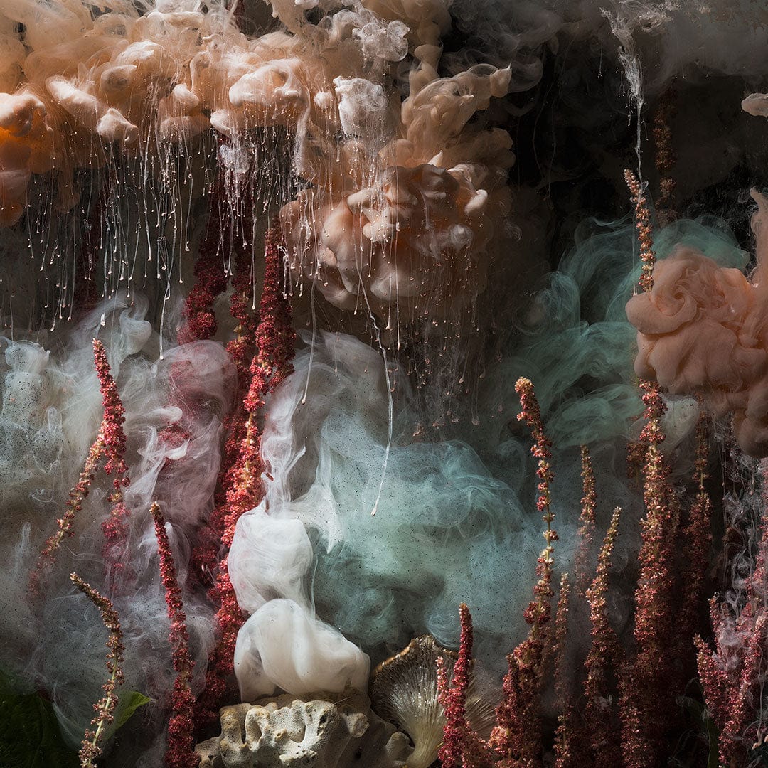 Love Lies &amp; Coral Photographic Print by Georgie Malyon