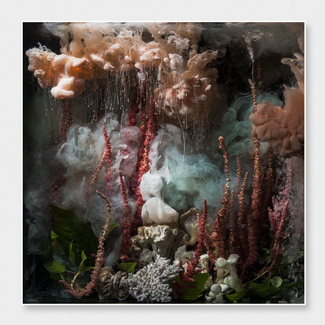 Love Lies &amp; Coral Photographic Print by Georgie Malyon
