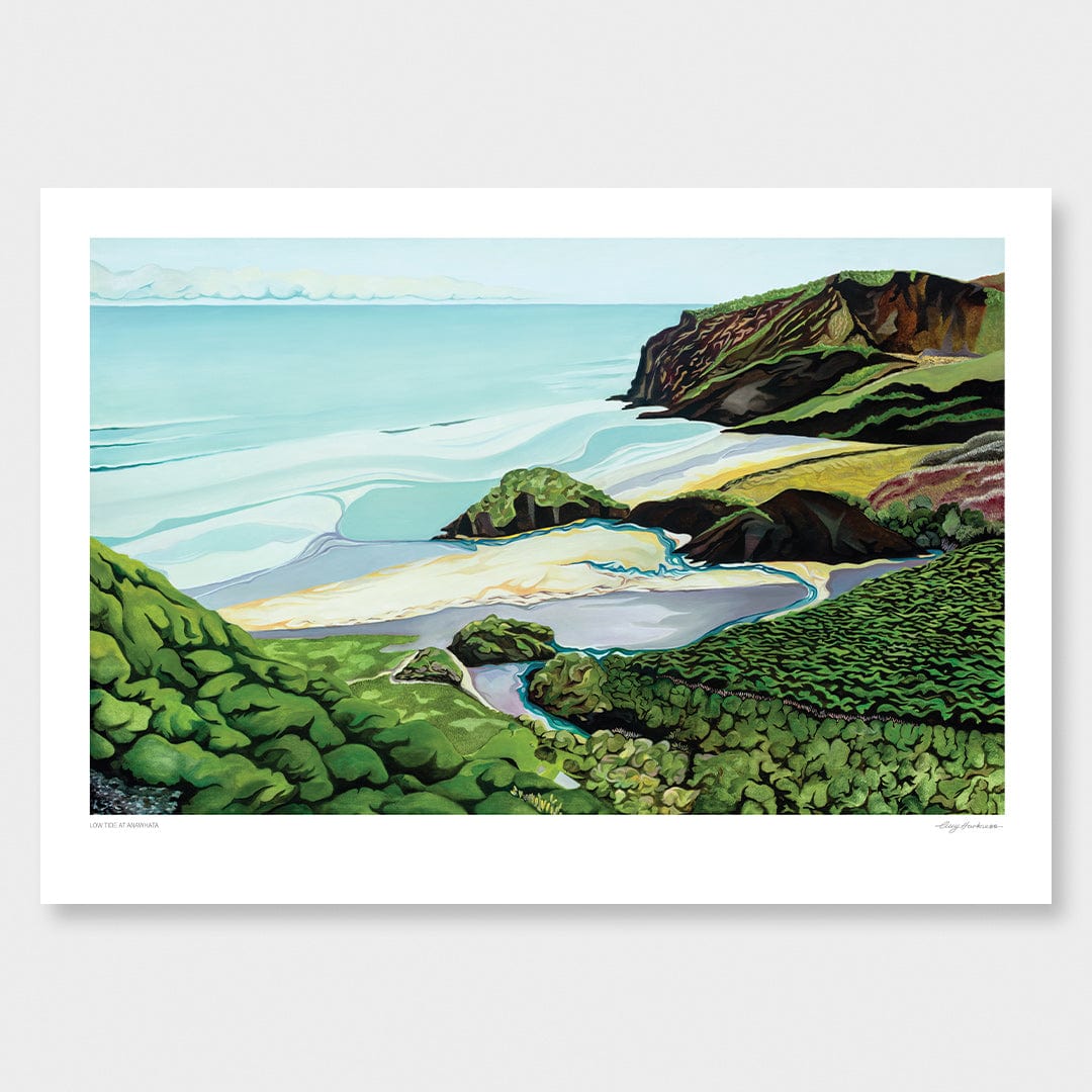 Low Tide at Anawhata Art Print by Guy Harkness