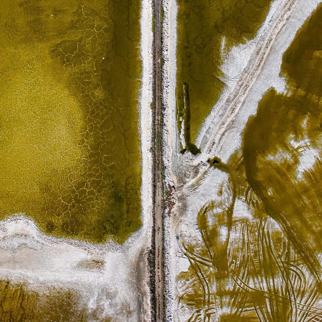 Making Tracks Photographic Print by Emma Willetts