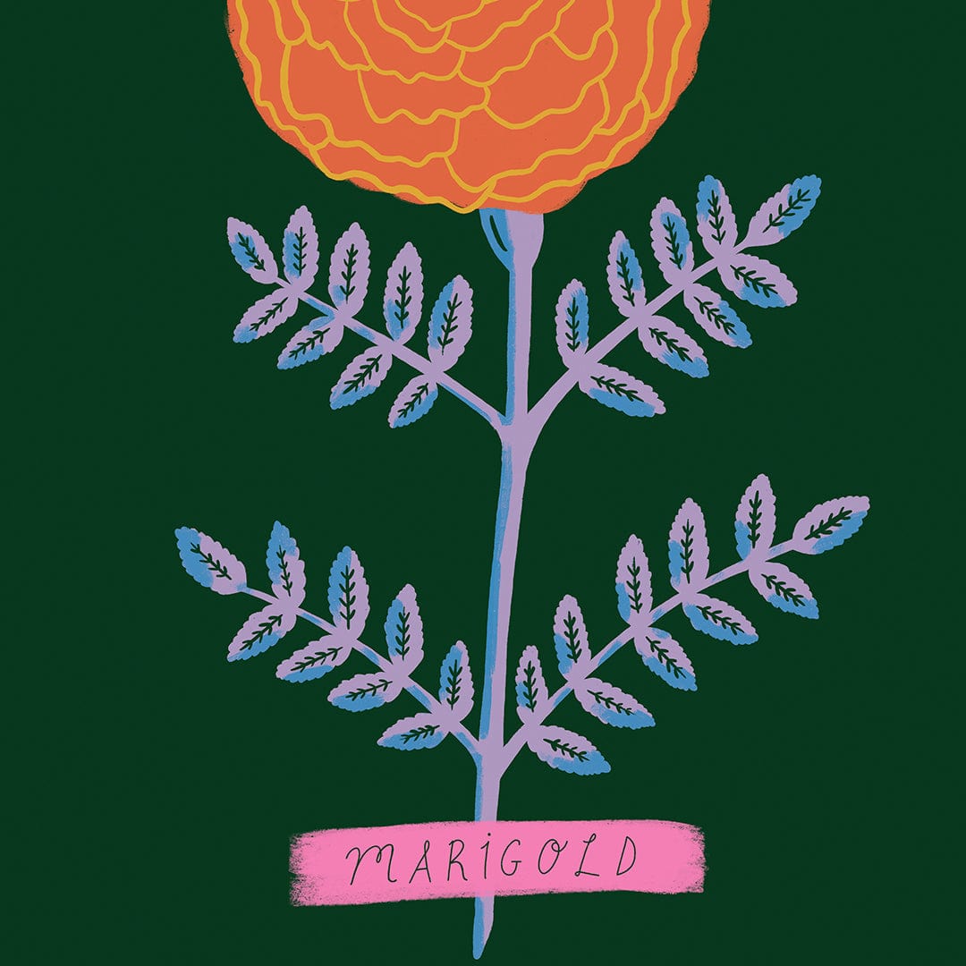 Marigold Art Print by Crissie Rodda