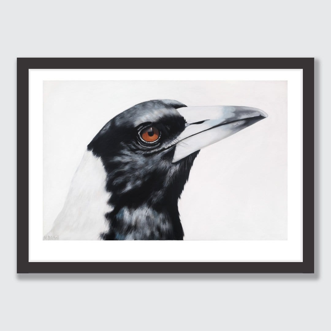 Maycee Magpie Art Print by Margaret Petchell
