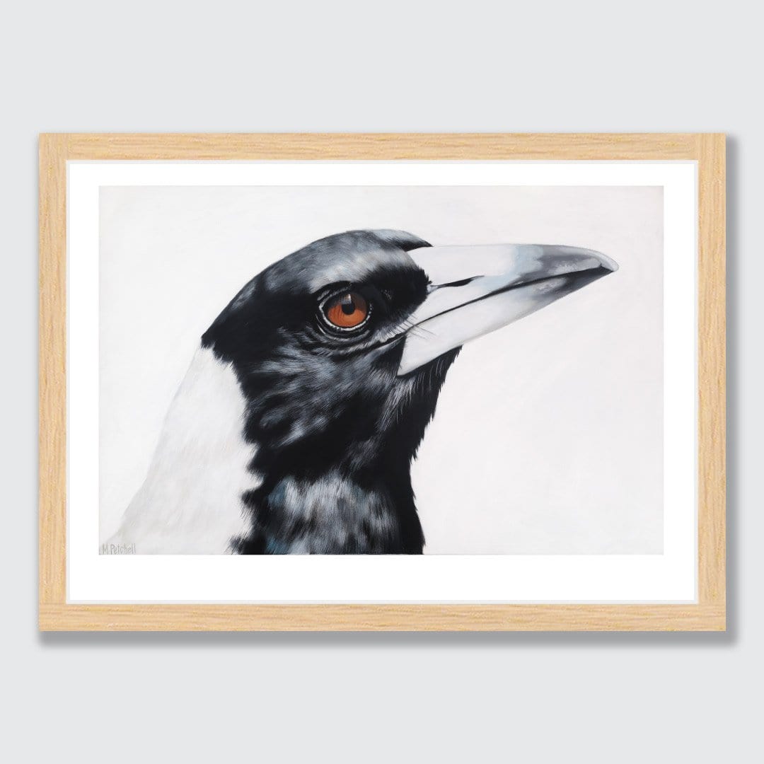 Maycee Magpie Art Print by Margaret Petchell