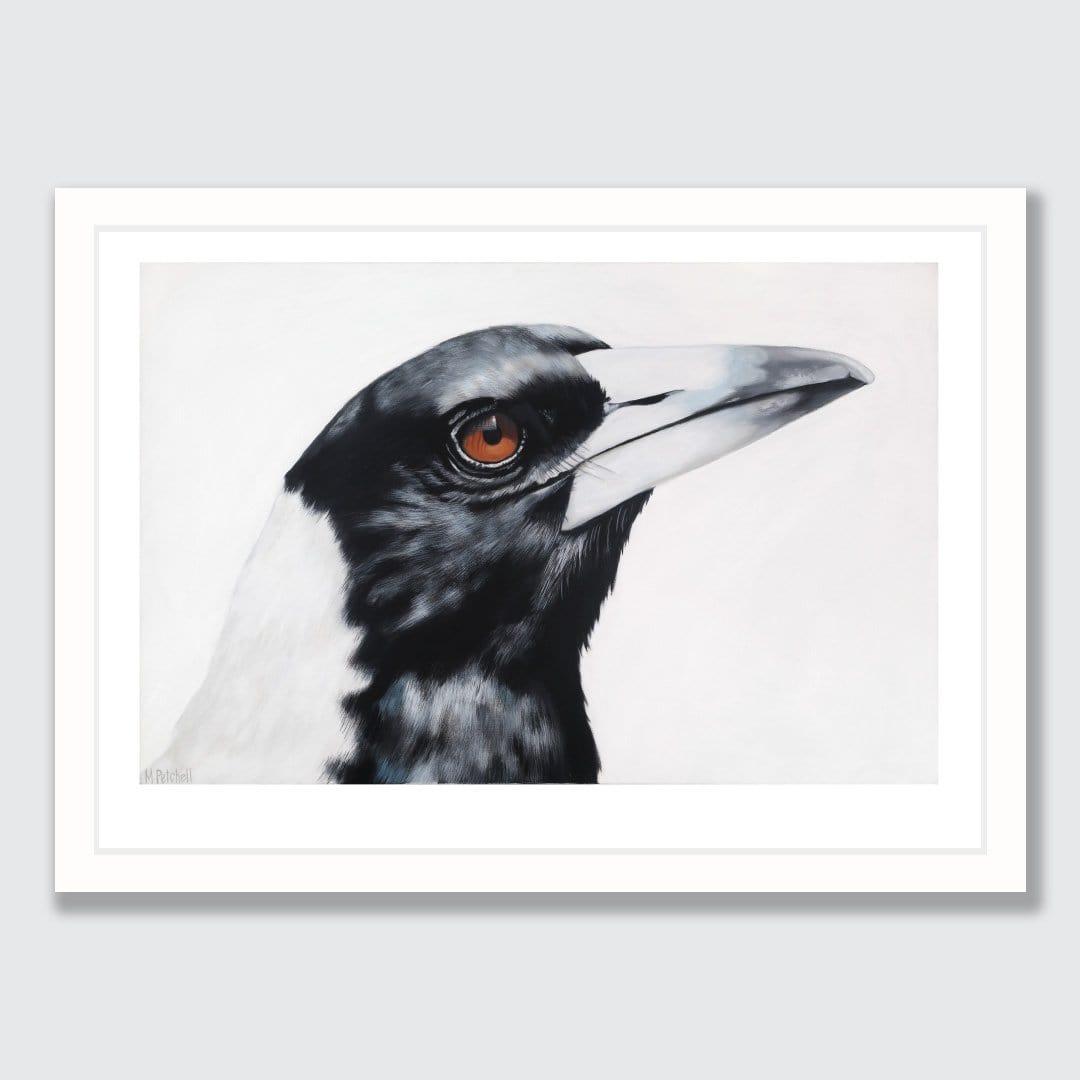 Maycee Magpie Art Print by Margaret Petchell