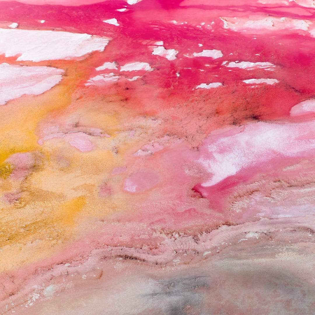 Monet Photographic Print by Emma Willetts