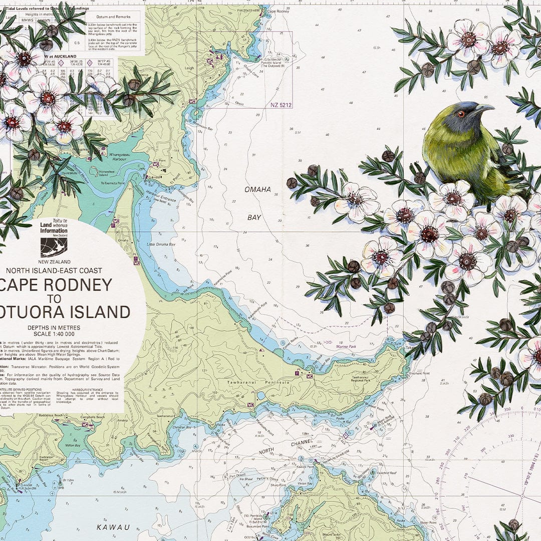 Motuora Island Limited Edition Art Print by Justine Hawksworth