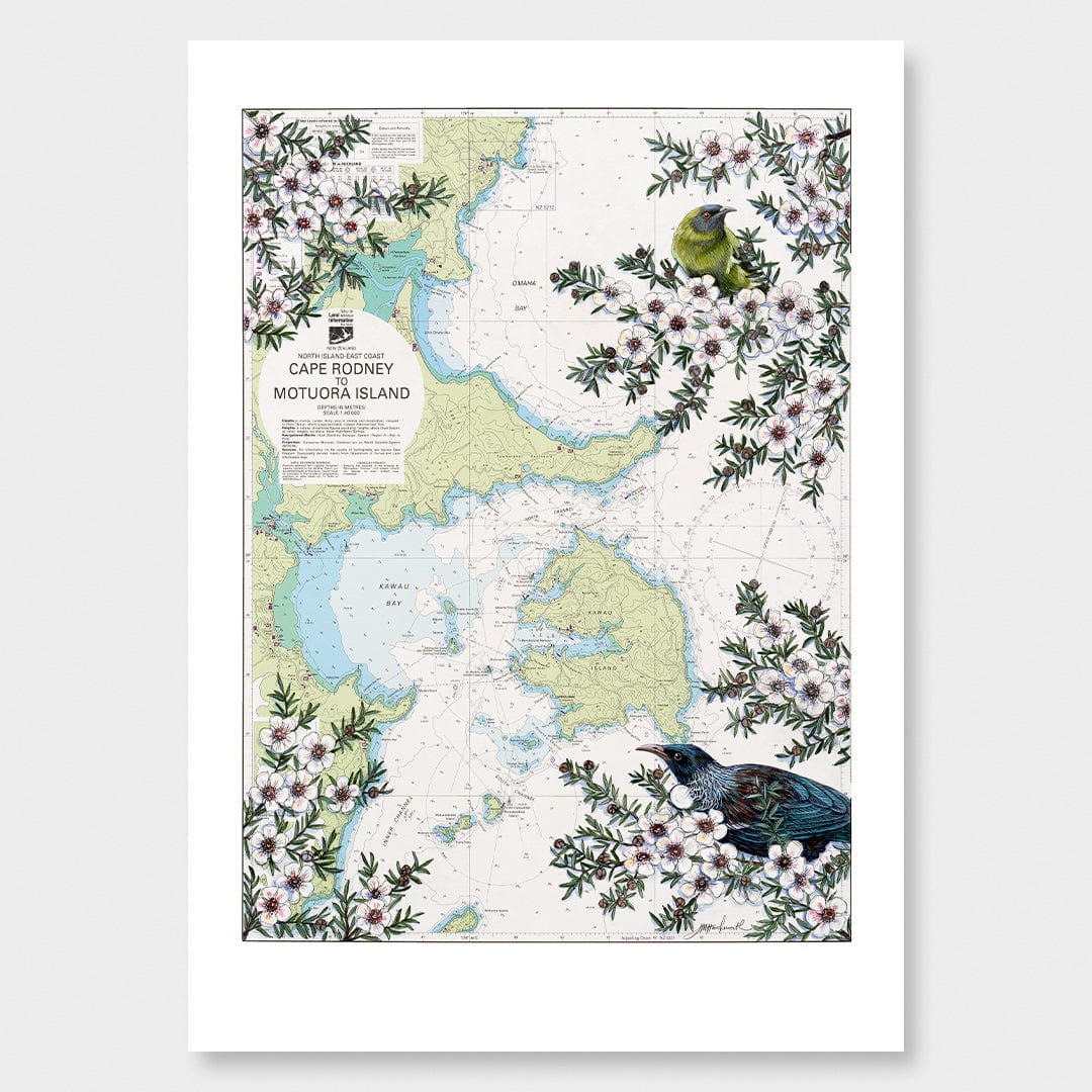 Motuora Island Limited Edition Art Print by Justine Hawksworth