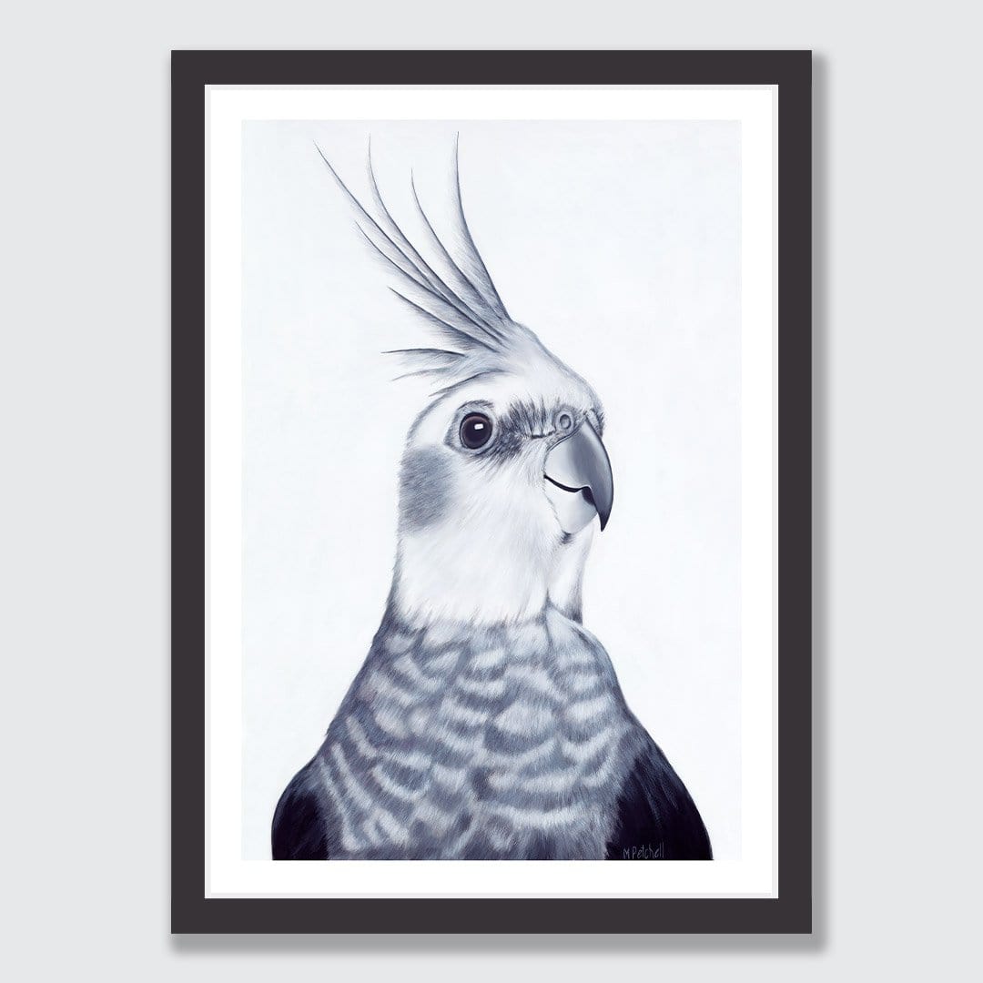 Mr Perkins Cockatiel Art Print by Margaret Petchell