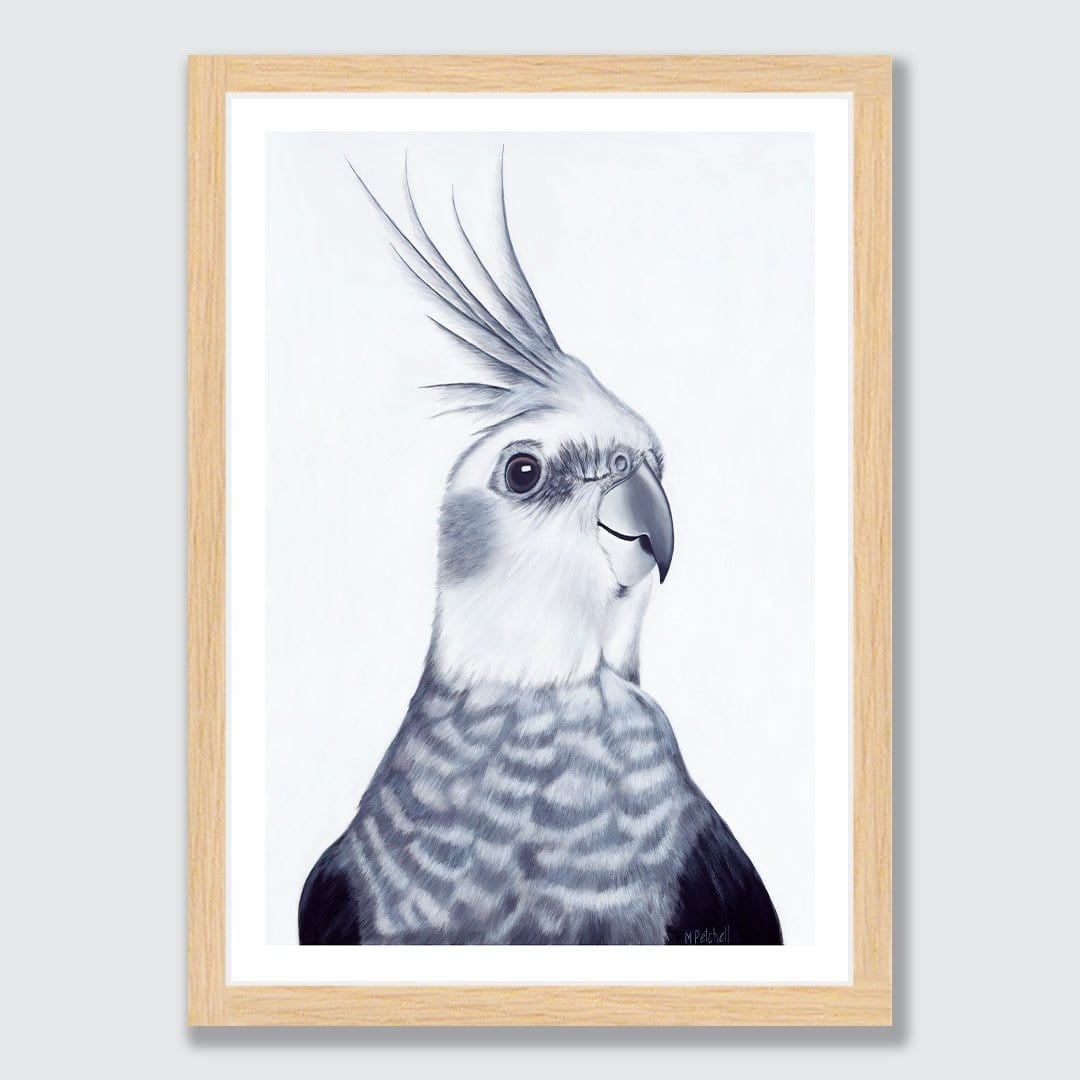 Mr Perkins Cockatiel Art Print by Margaret Petchell