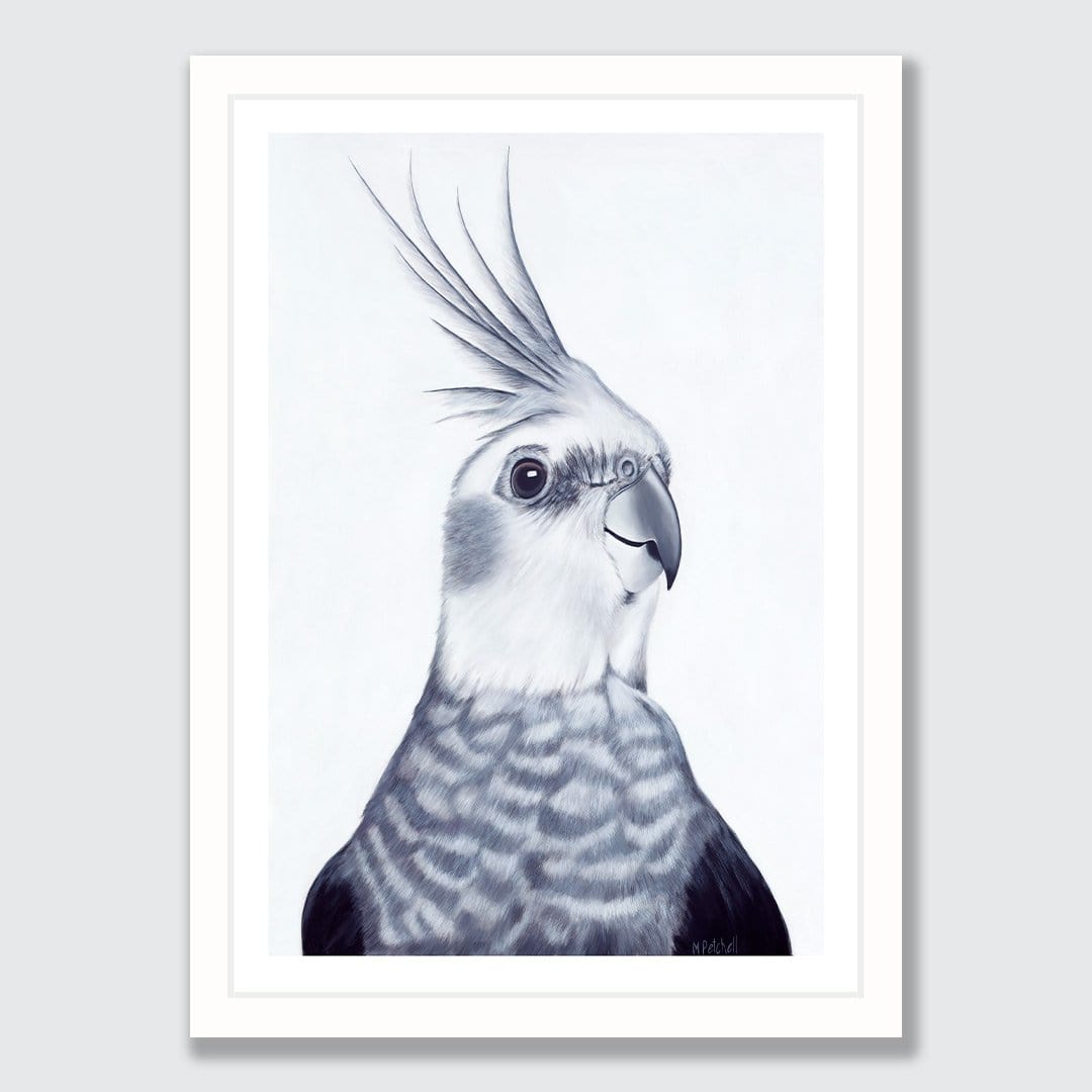 Mr Perkins Cockatiel Art Print by Margaret Petchell