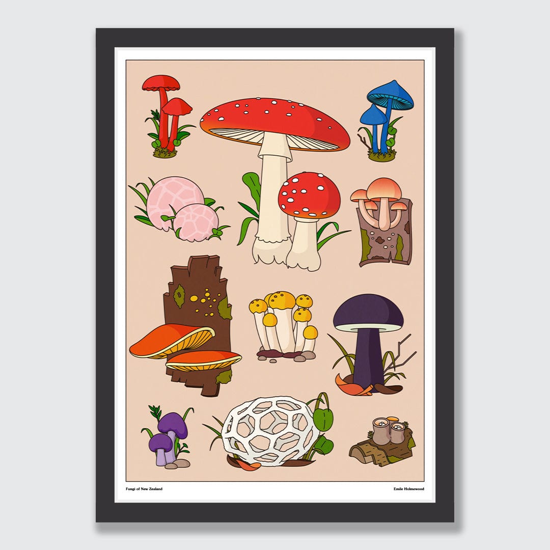 Mushrooms of NZ Art Print by Emile Holmewood