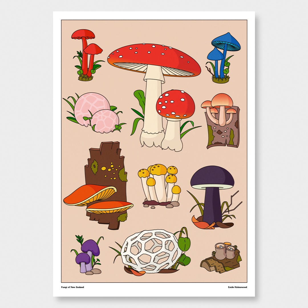 Mushrooms of NZ Art Print by Emile Holmewood