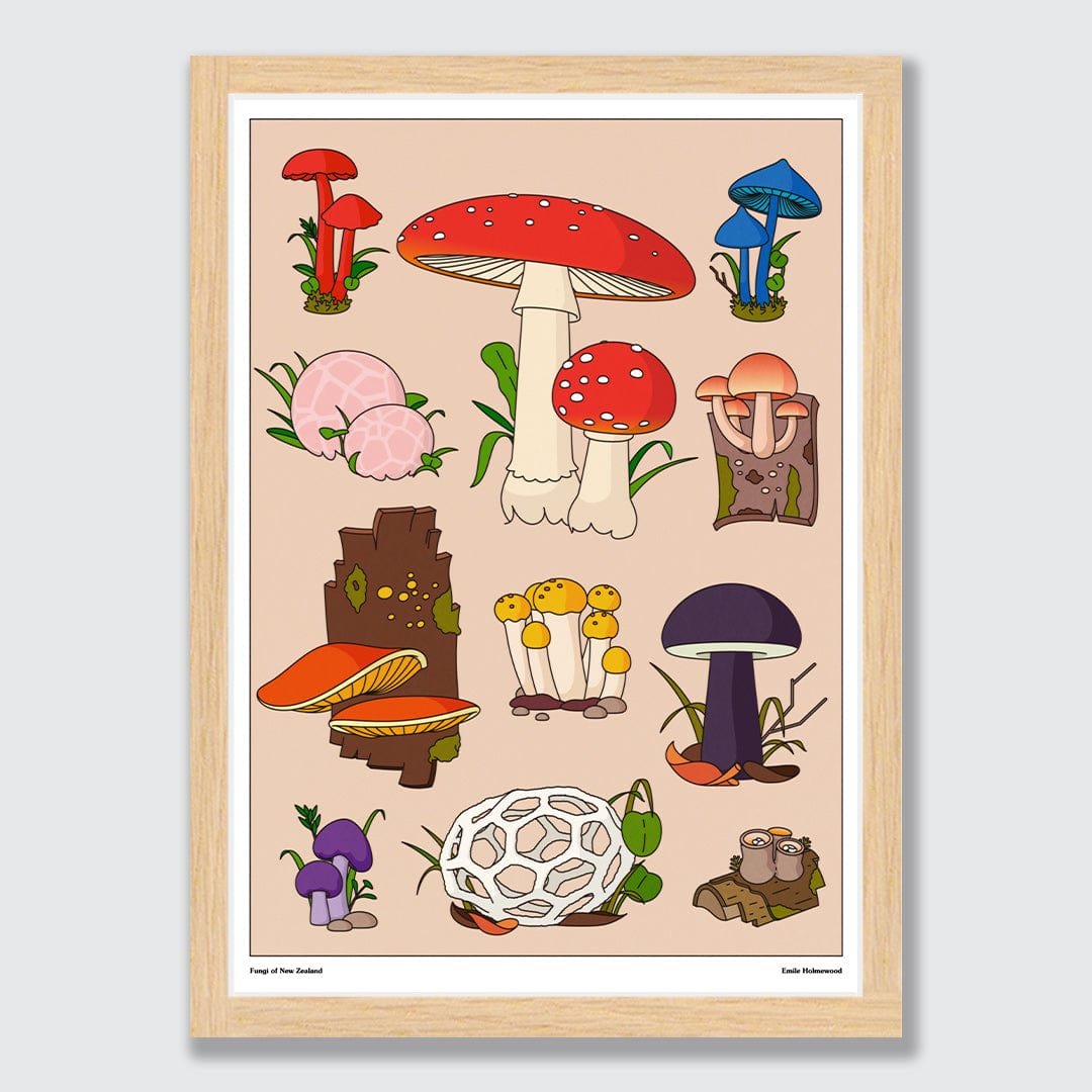 Mushrooms of NZ Art Print by Emile Holmewood