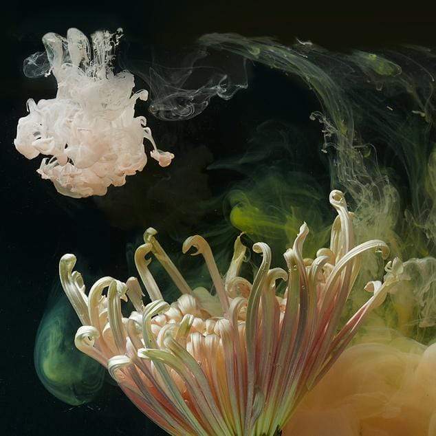 Mystical Realm Photographic Print by Georgie Malyon
