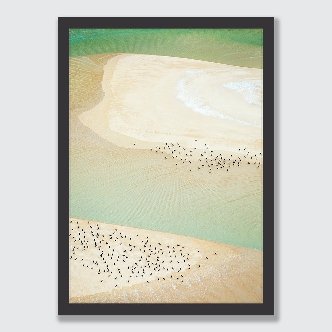 Nigella Seeds Photographic Print by Emma Willetts