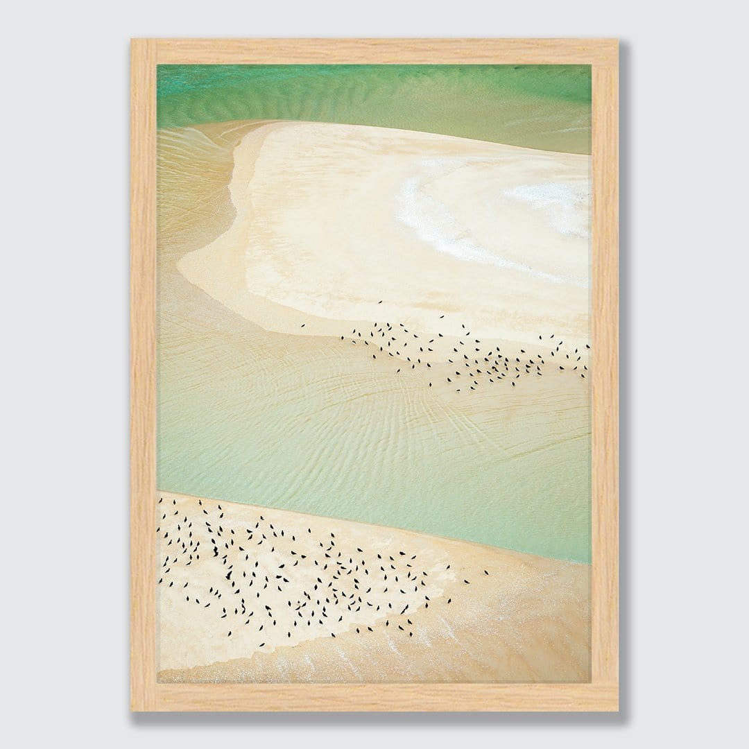 Nigella Seeds Photographic Print by Emma Willetts