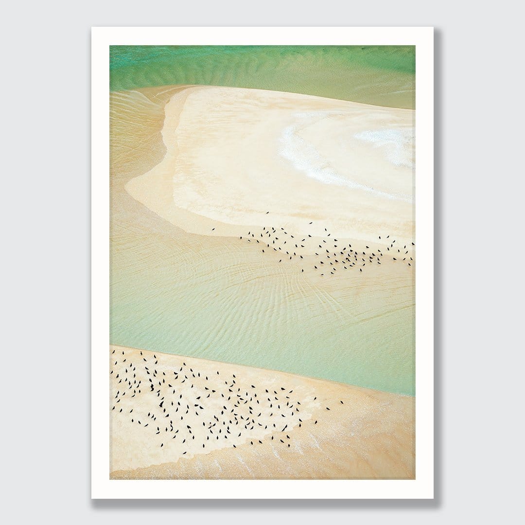 Nigella Seeds Photographic Print by Emma Willetts