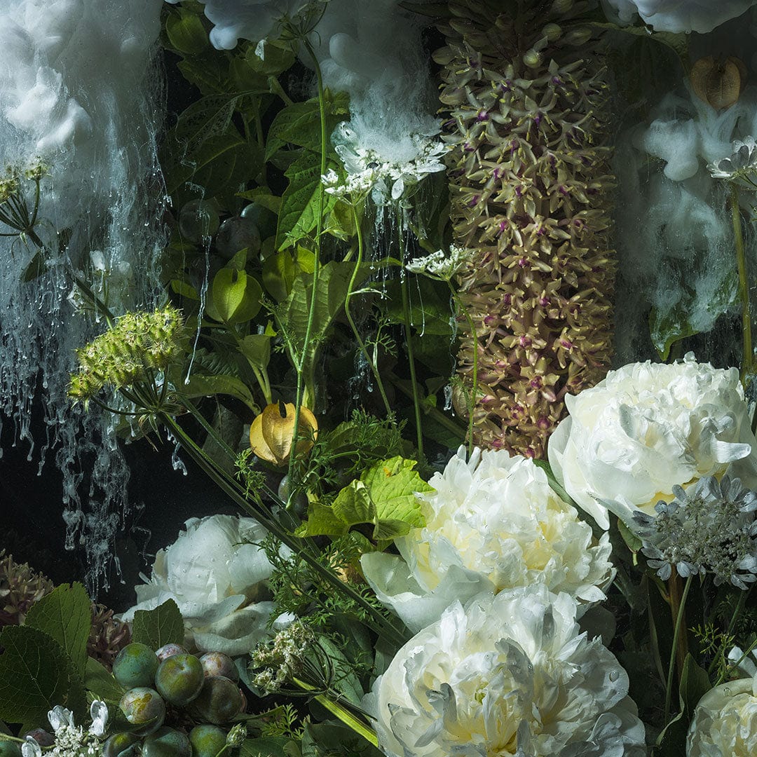 Nourish Blooms & Peonies Photographic Print by Georgie Malyon