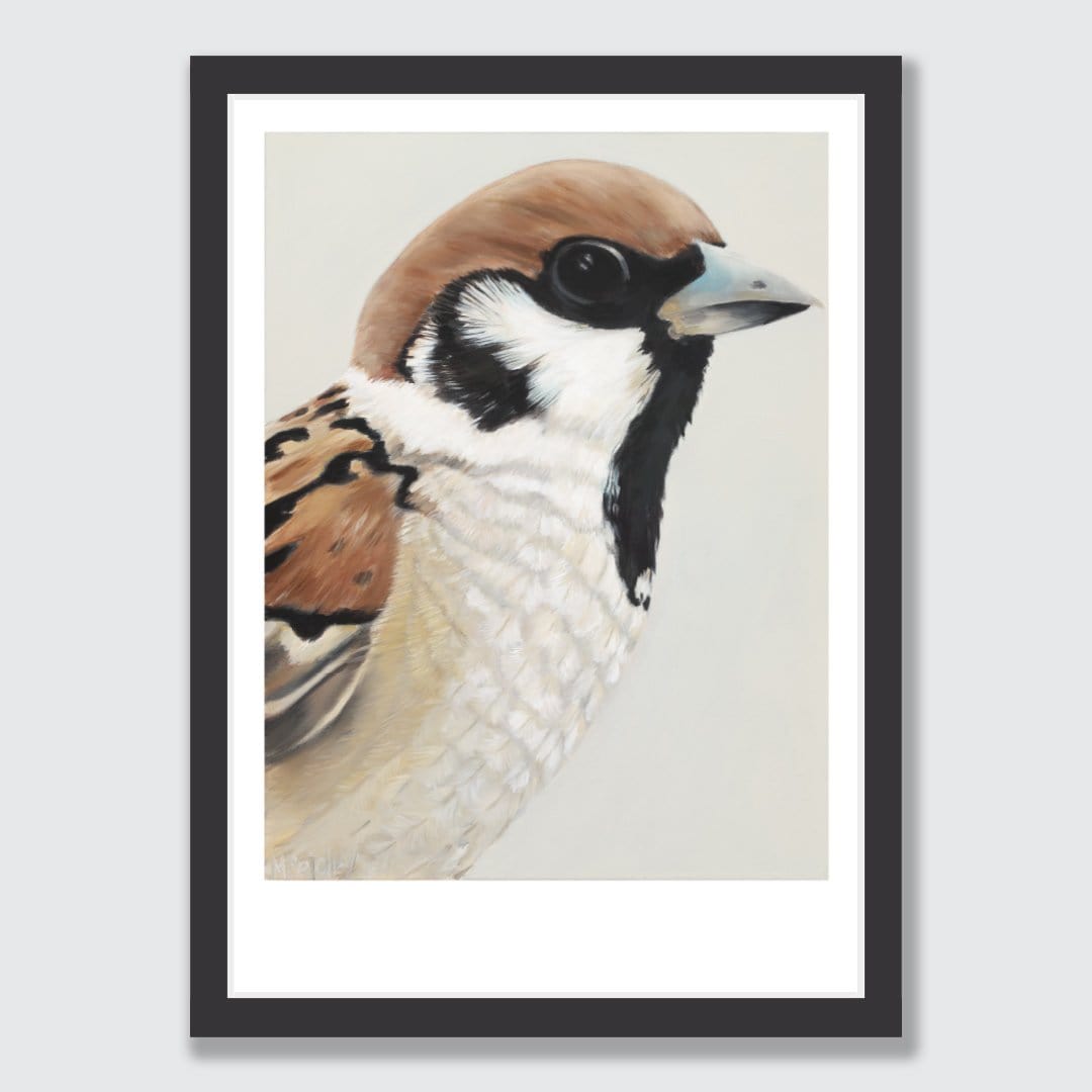 Nyla Sparrow Art Print by Margaret Petchell