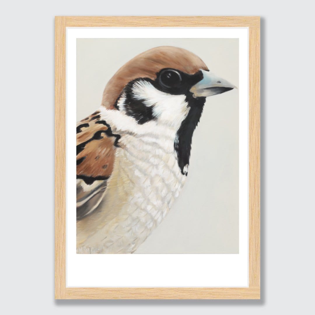 Nyla Sparrow Art Print by Margaret Petchell