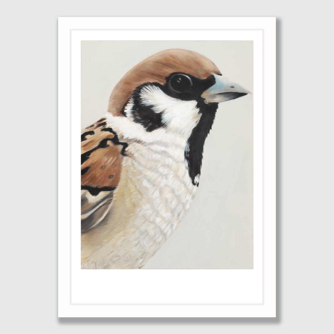 Nyla Sparrow Art Print by Margaret Petchell