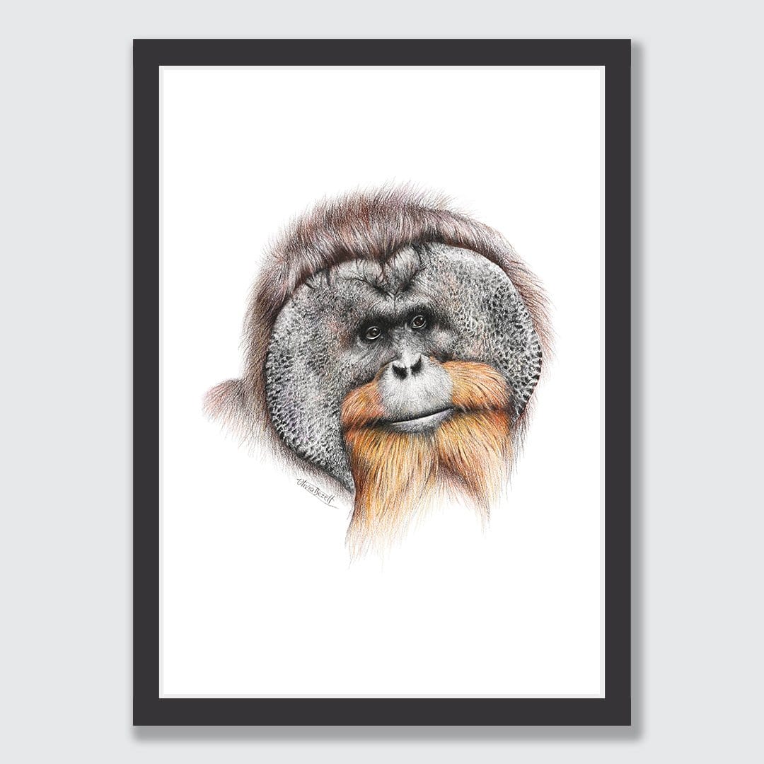 Orangutan Art Print by Olivia Bezett