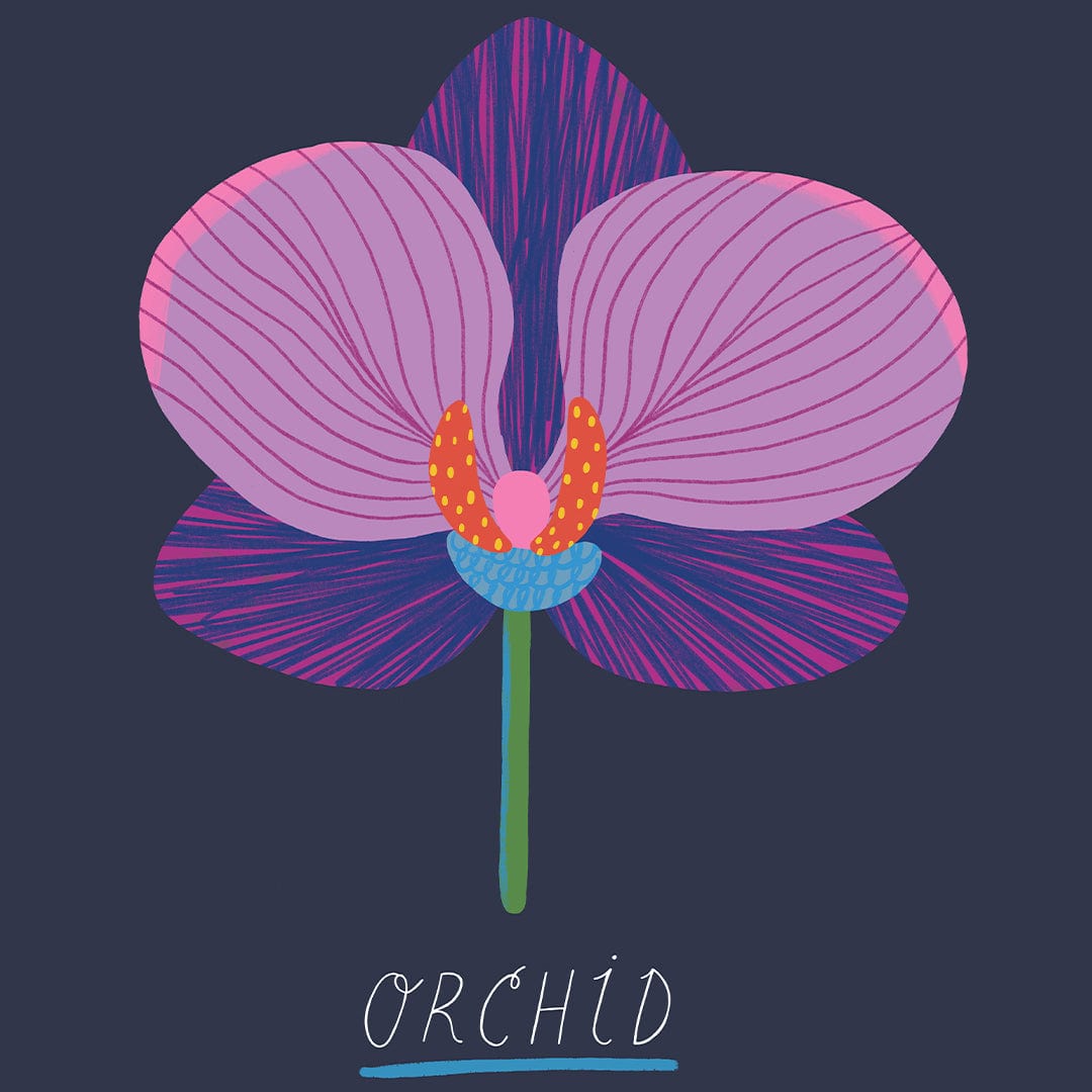 Orchid Art Print by Crissie Rodda