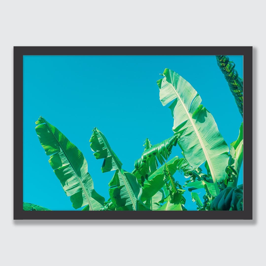 Green Bananas Photographic Art Print by Elliot Alexander