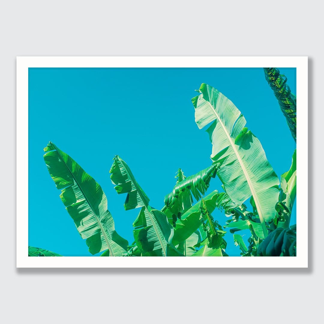 Green Bananas Photographic Art Print by Elliot Alexander
