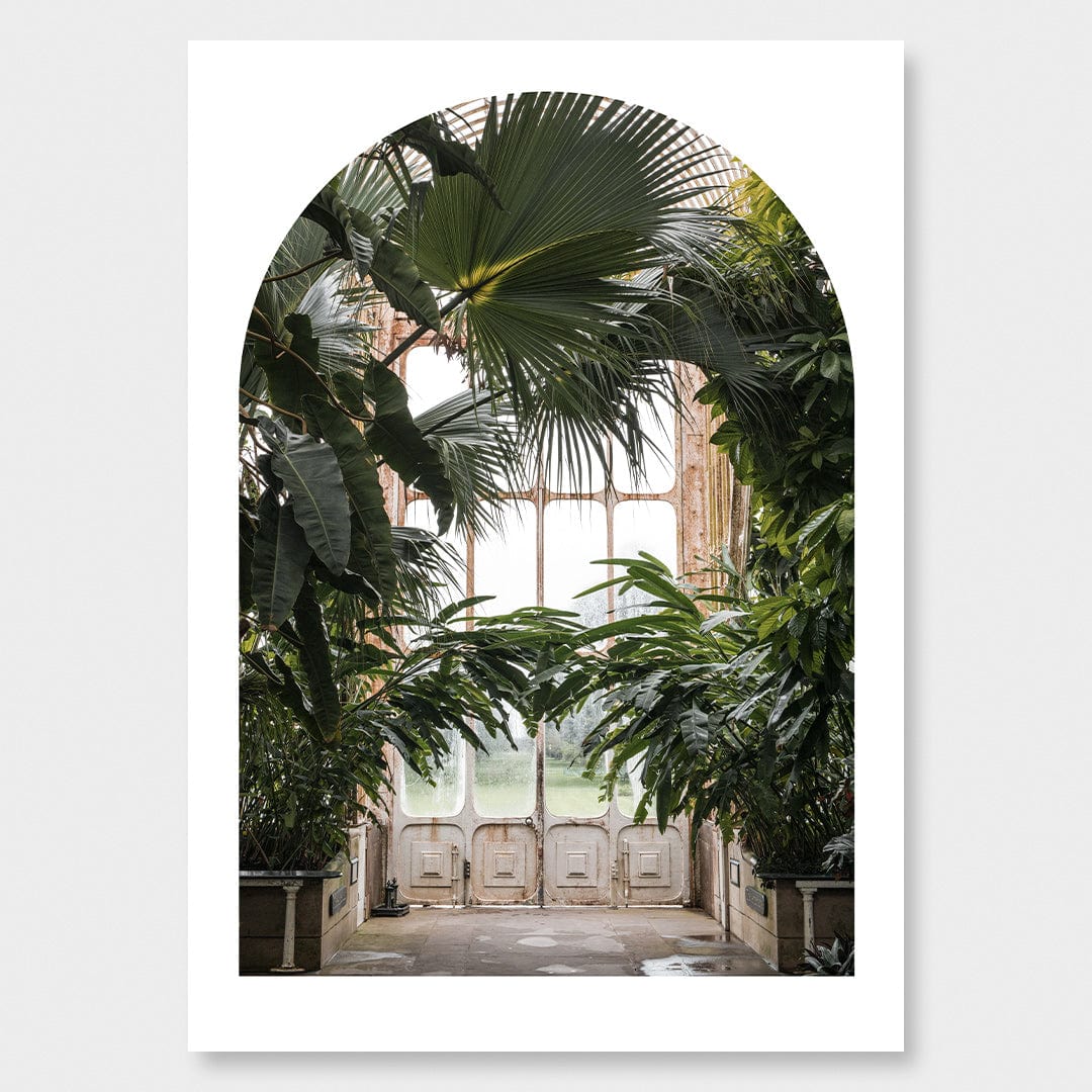 Palm Photographic Print by Amy Wybrow