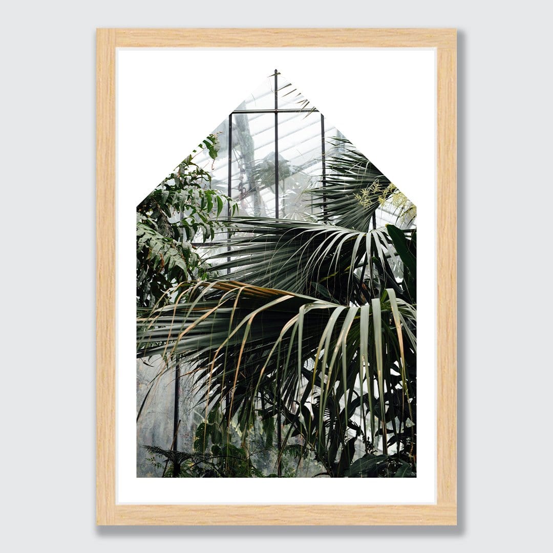 Palm House I Photographic Print by Amy Wybrow