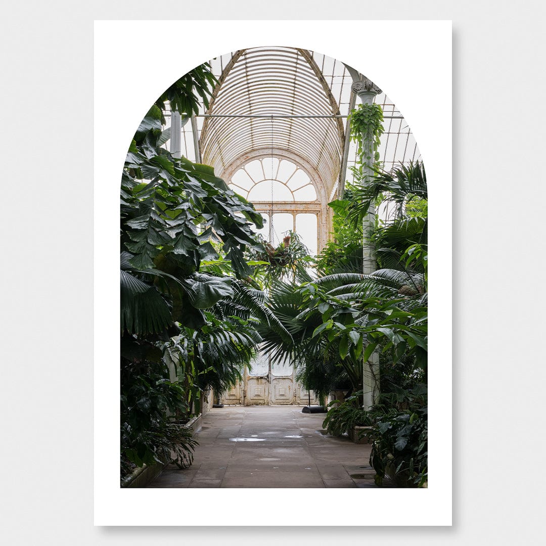 Palm House Photographic Print by Amy Wybrow