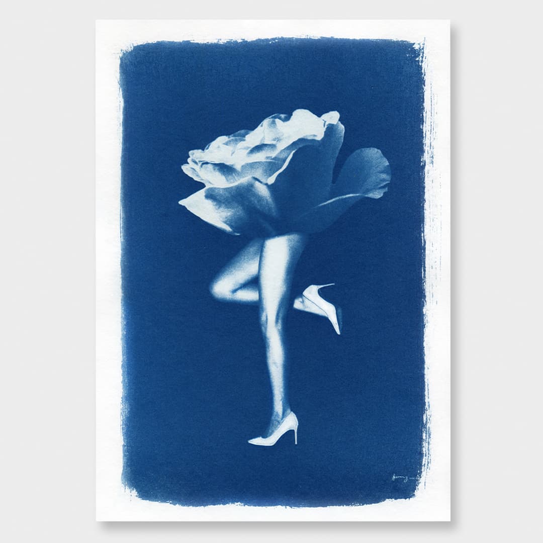 Phantasmagoria 01 Rose Limited Edition Cyanotype by Sophia Jenny