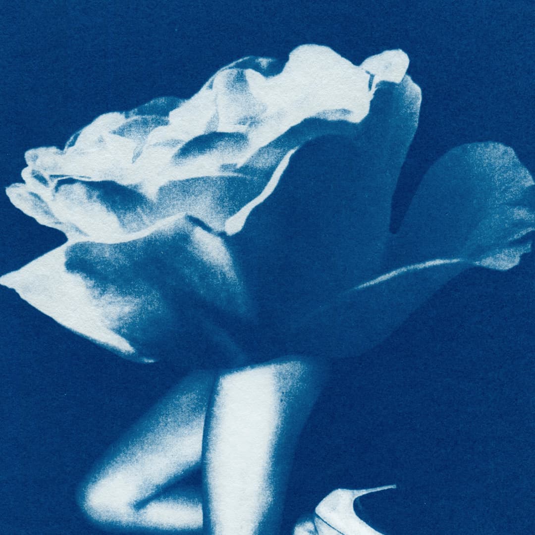 Phantasmagoria 01 Rose Limited Edition Cyanotype by Sophia Jenny