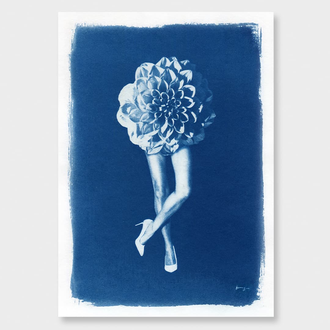 Phantasmagoria 03 Dahlia Limited Edition Cyanotype by Sophia Jenny