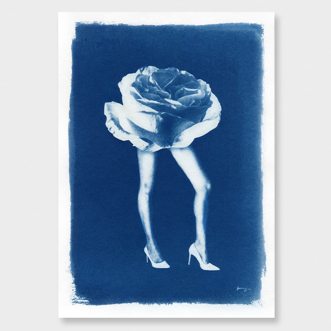 Phantasmagoria 05 Rose Limited Edition Cyanotype by Sophia Jenny
