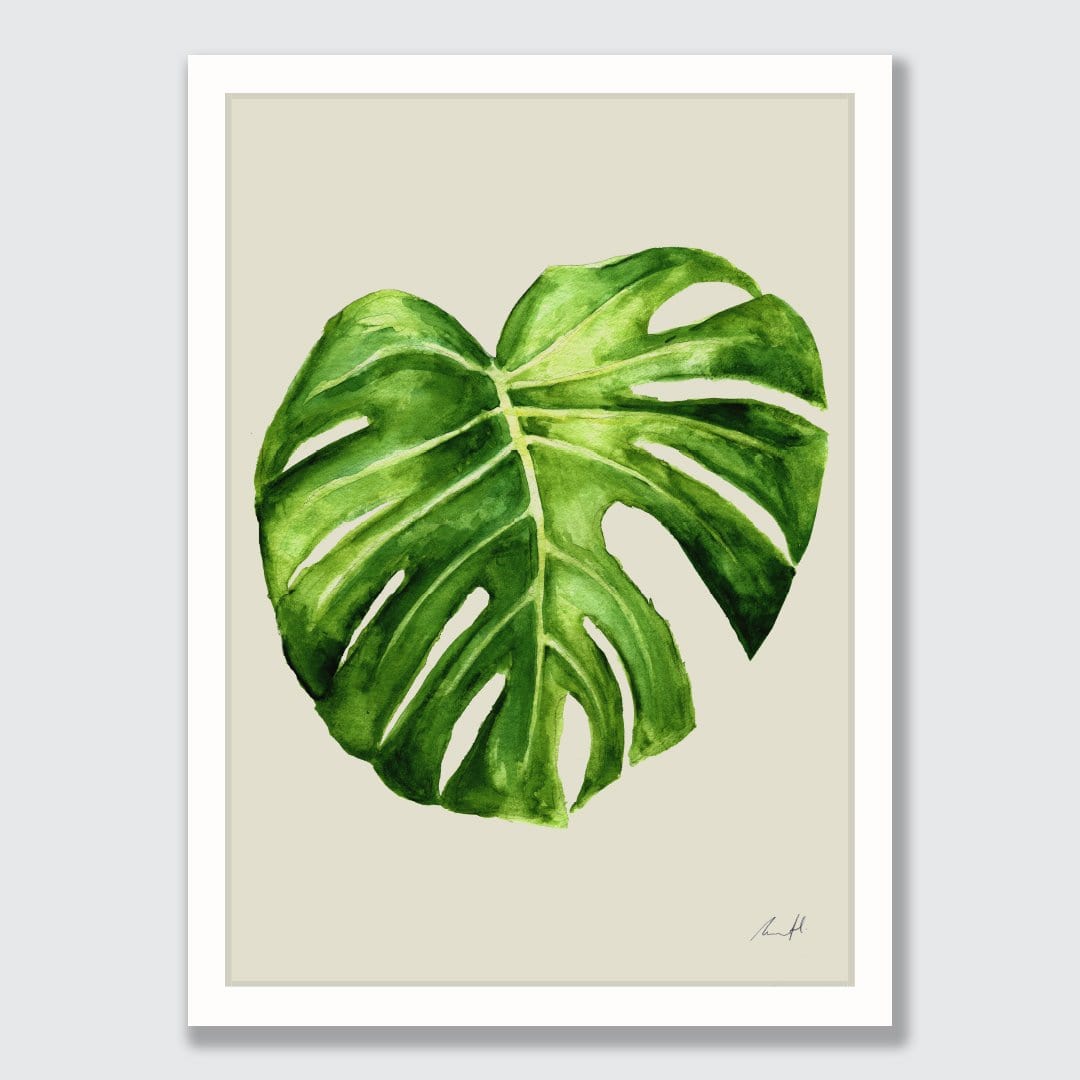 Philodendron Art Print by Carmel Van Der Hoeven
