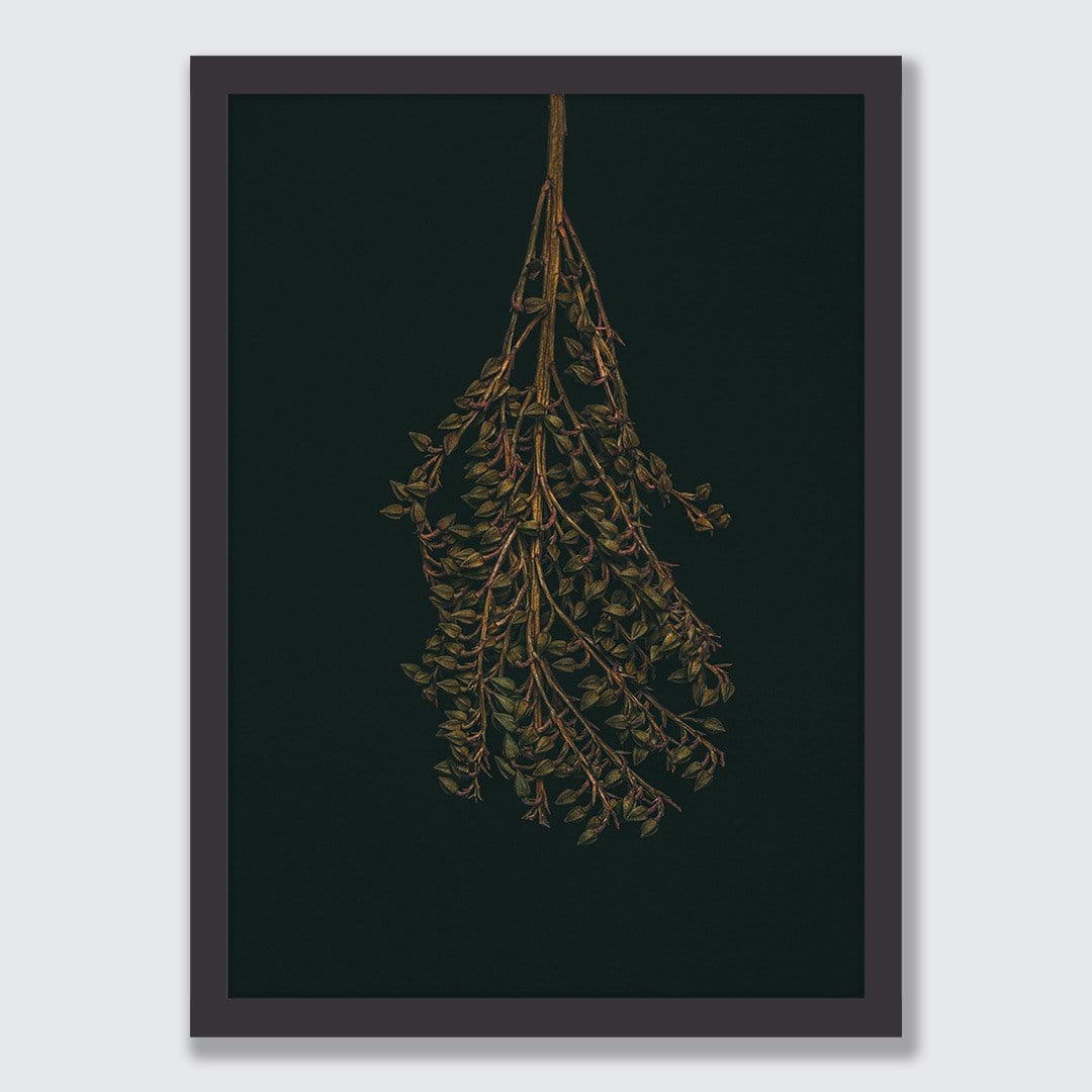 Pieris Photographic Print by Maegan McDowell