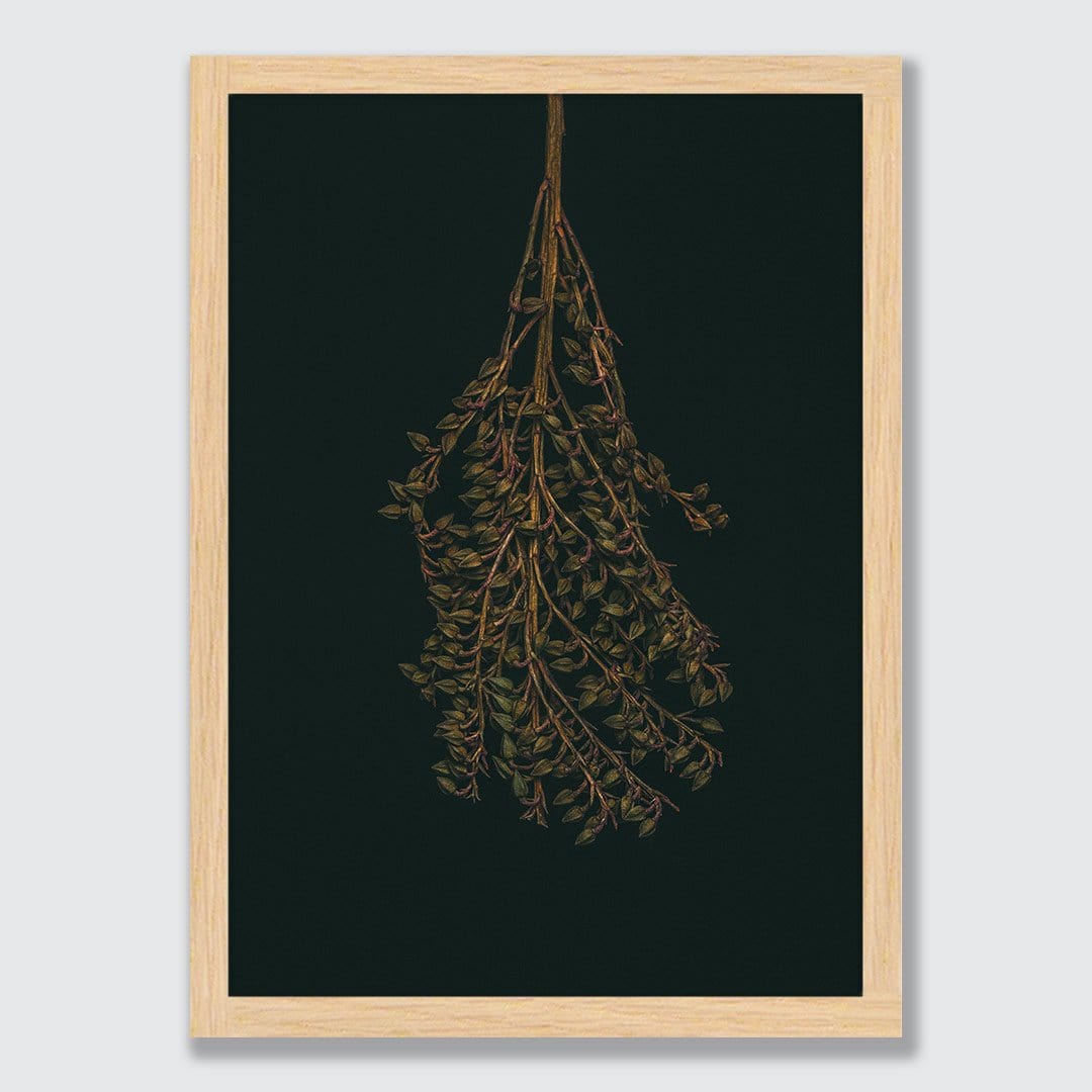 Pieris Photographic Print by Maegan McDowell