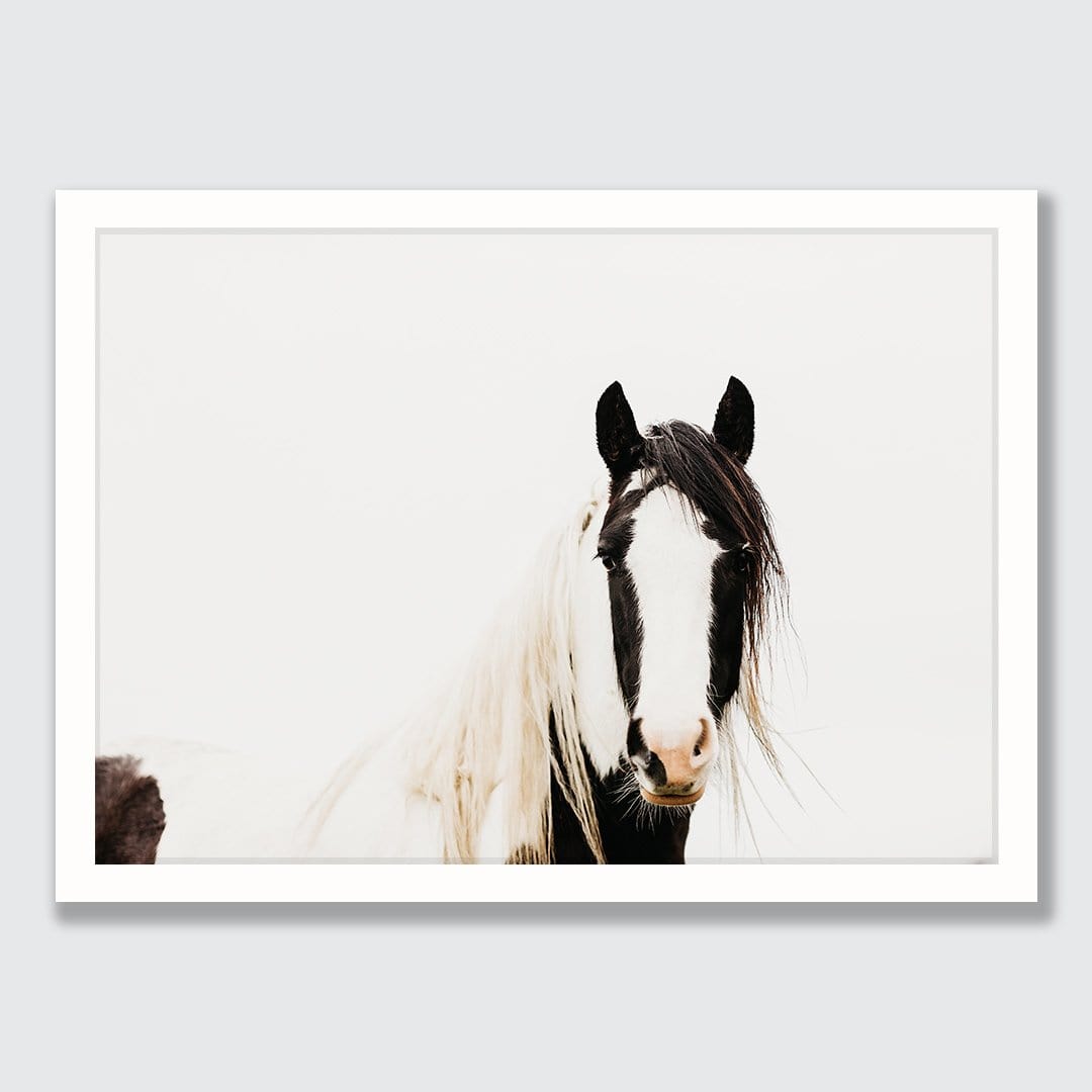 Pinto Horse Photographic Print by Emma Willetts